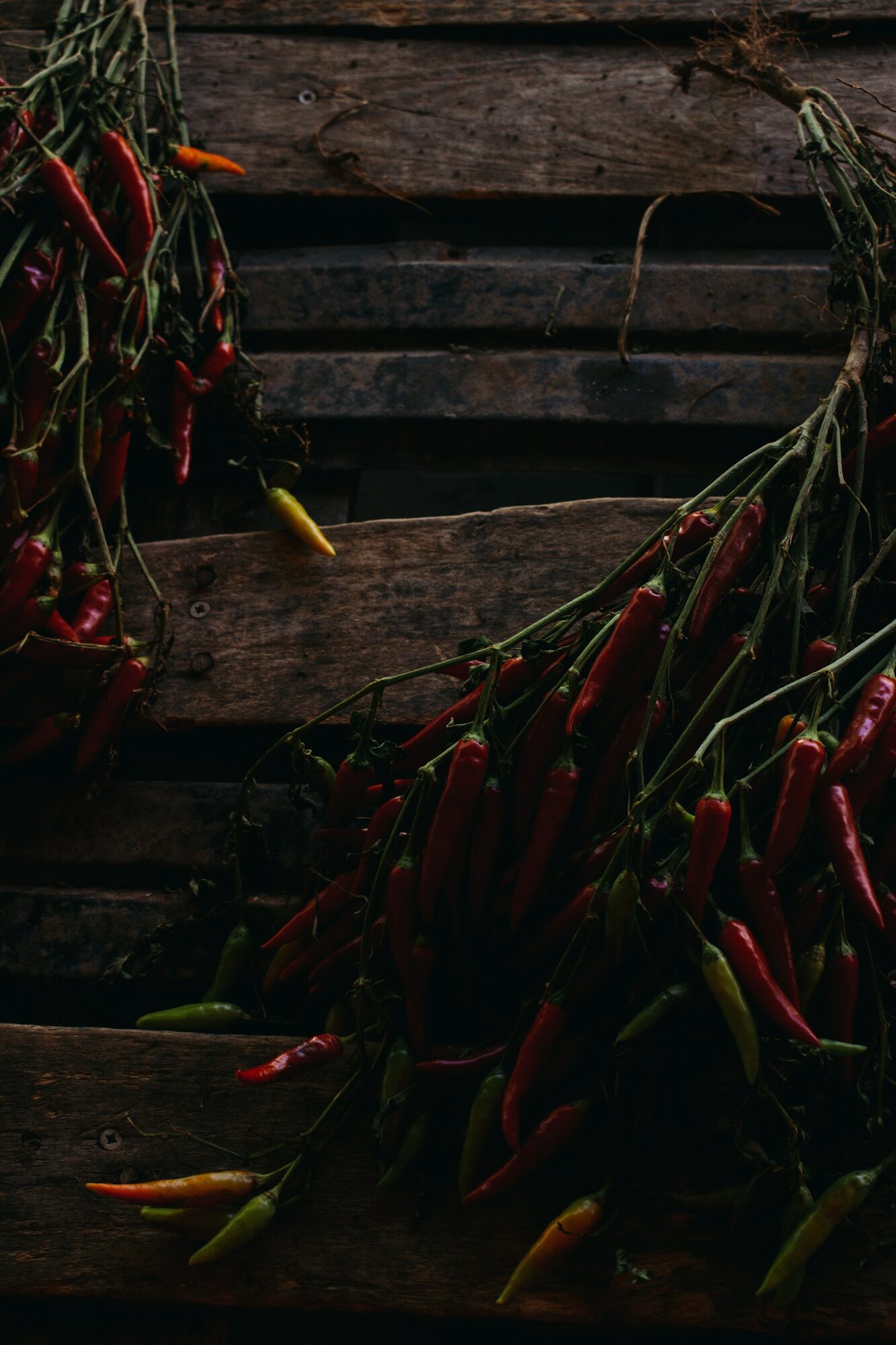 Ripe red chillies with natural stems and texture