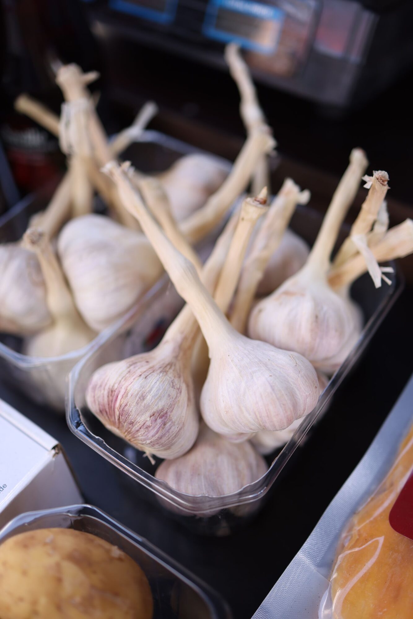 Fresh garlic bulbs shown in close detail