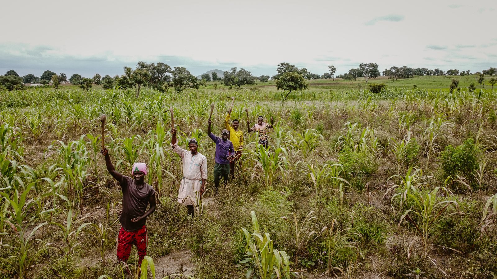 Farming team standing among established crop rows