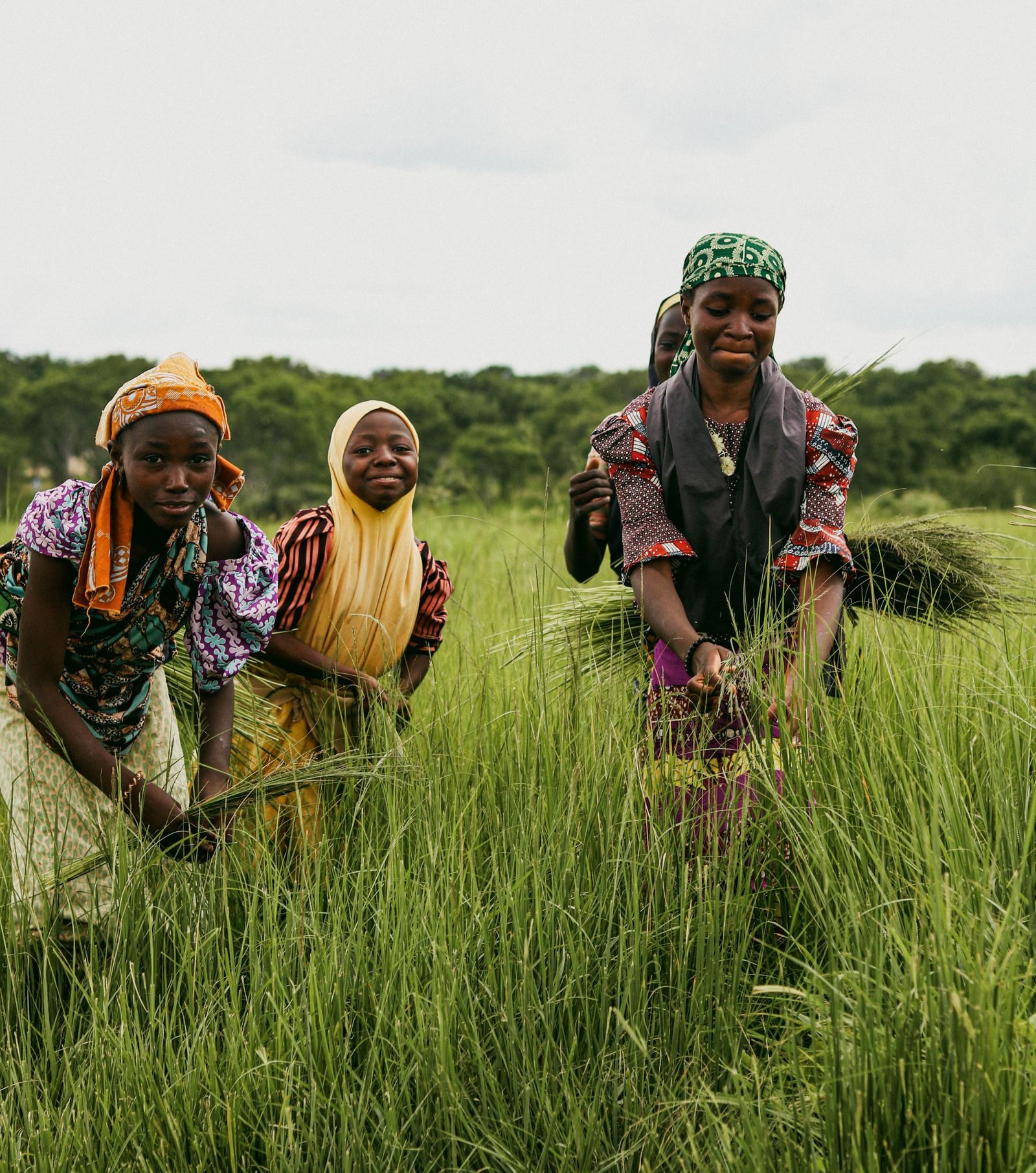 African farm workers carrying freshly harvested crops