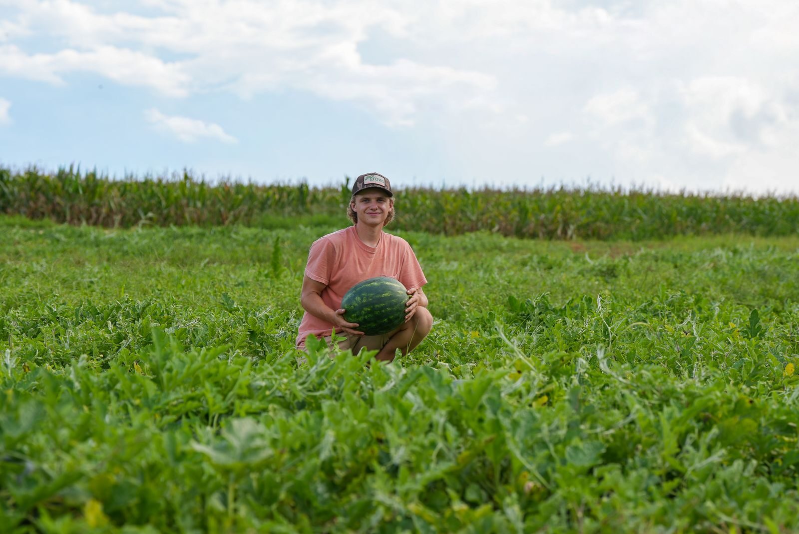 Farmer holding a mature watermelon in a commercial field
